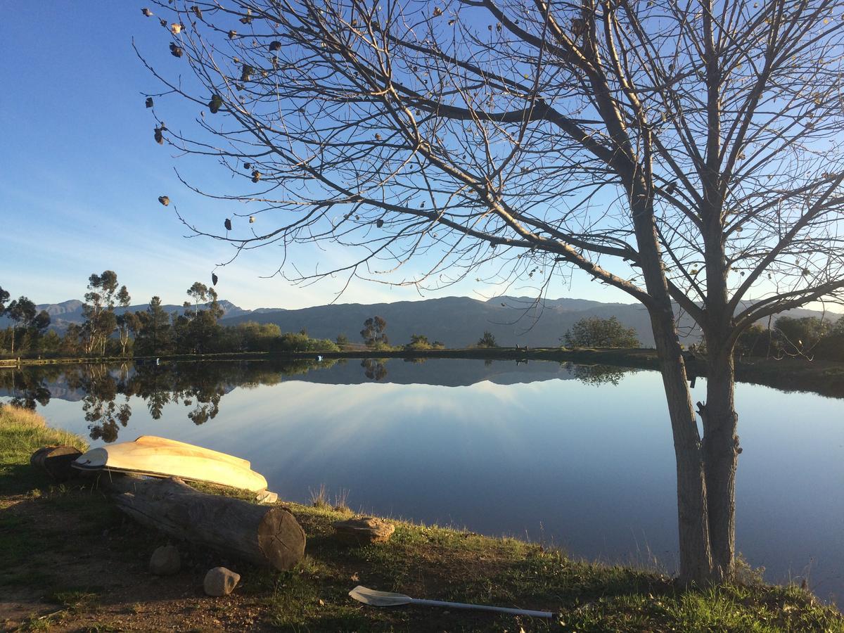 Fraaigelegen Farm - Home Of Adhara Evoo Tulbagh Exteriör bild