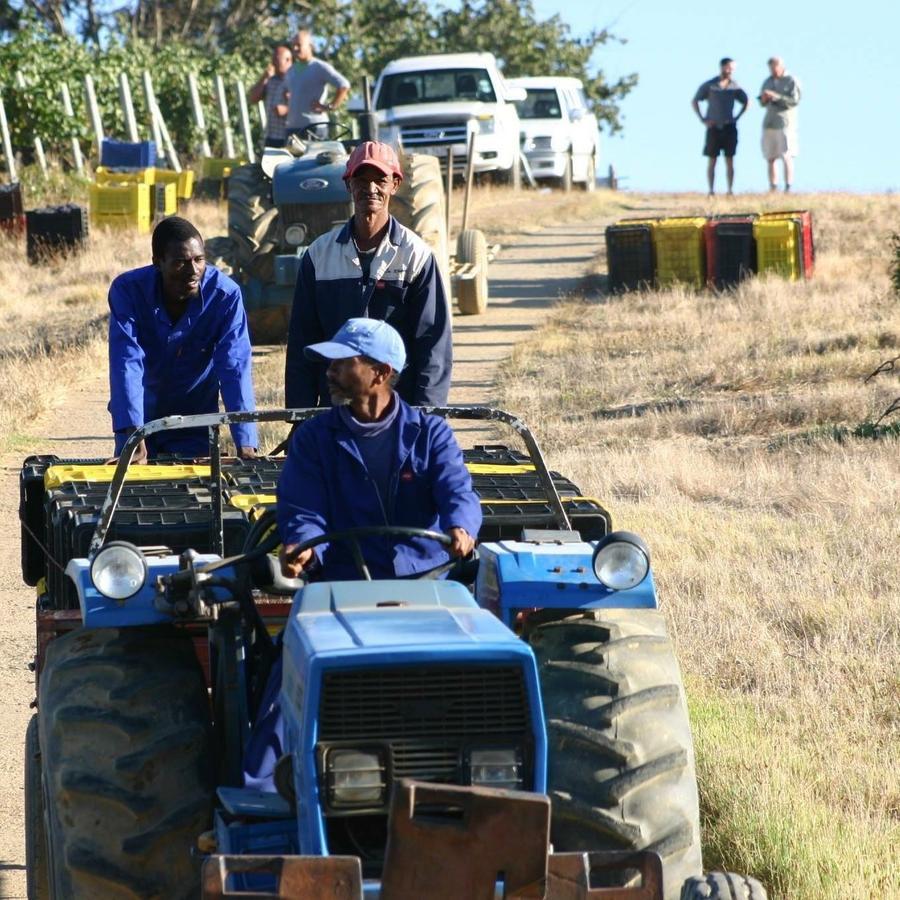 Fraaigelegen Farm - Home Of Adhara Evoo Tulbagh Exteriör bild