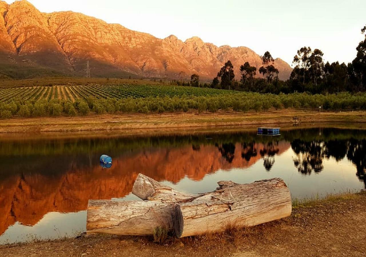 Fraaigelegen Farm - Home Of Adhara Evoo Tulbagh Exteriör bild